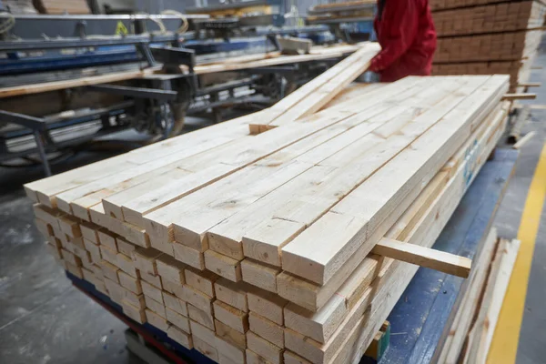 Carpinteros Trabajando Fábrica Madera Con Máquinas Proceso Fabricación Muebles Madera — Foto de Stock
