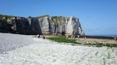 Etretat, Fransa - güneşli bir günde kıyısı ve okyanusu olan güzel kıyı şeridi ve kaymak kayalıkları manzarası