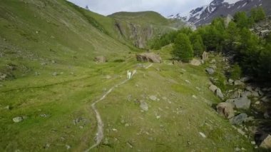 İsviçre 'nin Zermatt şehrinde beyaz kar ve mavi gökyüzü ile Matterhorn Dağı
