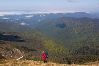 Hiker trekking to the highest ukrainian ridge Marmarosy near Romania. Mountain named Pip Ivan