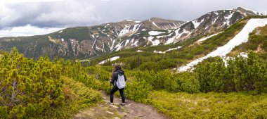 Woman hiker hiking in the mountains in summer to the highest ukrainian ridge Marmarosy near Romania.