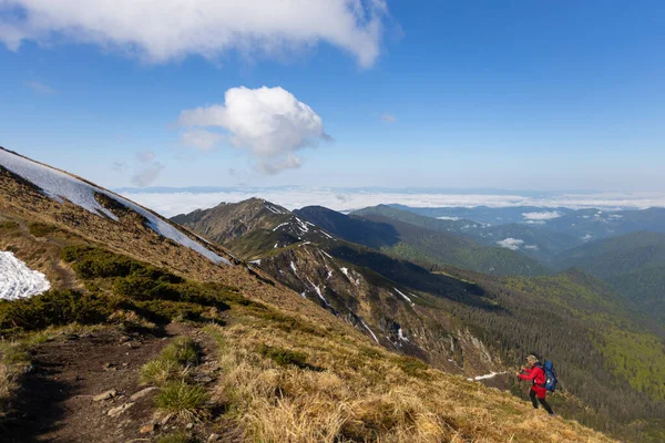 Hiker Trekking Highest Ukrainian Ridge Marmarosy Romania Mountain Named Pip — Fotografia de Stock