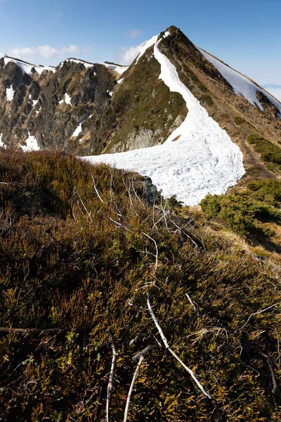 Mountain View Highest Ukrainian Ridge Marmarosy Romania Wonderlast Location Ukraine — Stockfoto