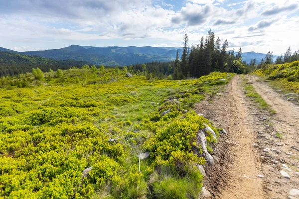 Summer Mountain Trail Hiking Highest Ukrainian Ridge Marmarosy Romania — Zdjęcie stockowe