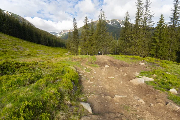 Sommer Bergpfad Zum Wandern Der Höchsten Ukrainischen Kamm Marmarosy Der — Stockfoto