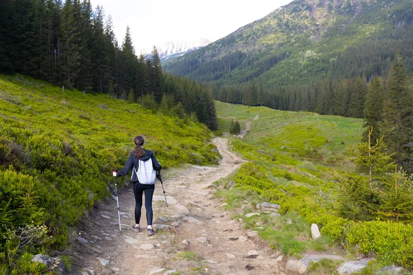 Woman Hiker Hiking Mountains Summer Highest Ukrainian Ridge Marmarosy Romania — Stock fotografie