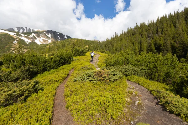 Mountains Summer Outdoor Wonderland Hiking Scenery Background — Stok fotoğraf