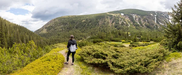 Woman Hiker Hiking Mountains Summer Highest Ukrainian Ridge Marmarosy Romania — Stockfoto