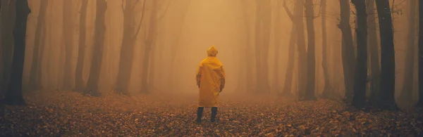 Hombre Perdió Espeluznante Bosque Niebla Entre Árboles Altos — Foto de Stock