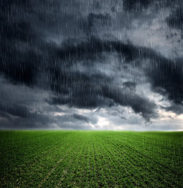 Nuvens tempestade escura sobre o prado com grama verde — Fotografia de Stock
