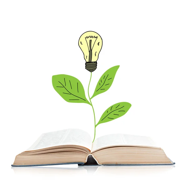 Boek met groene plant en idee lamp — Stockfoto
