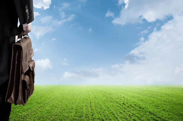 Zakenman die zich voordeed op groene weide — Stockfoto