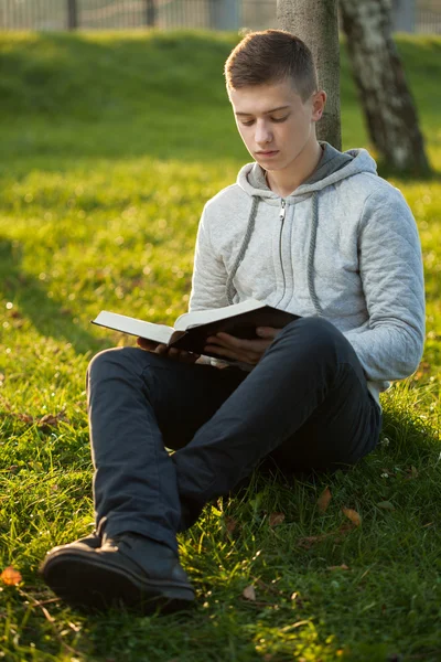 Mann liest Bibel im Park — Stockfoto