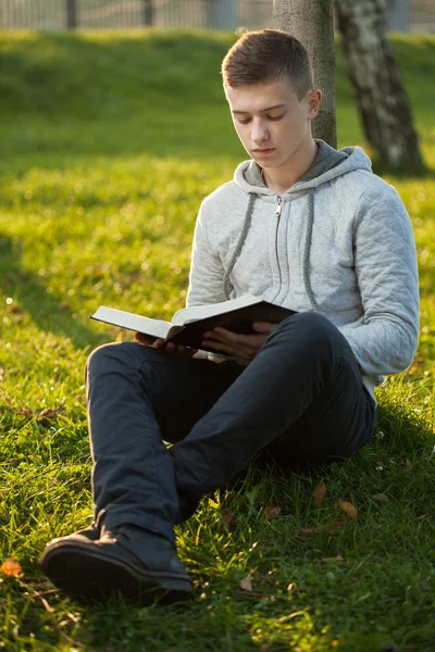 Uomo che legge la Bibbia nel parco — Foto Stock