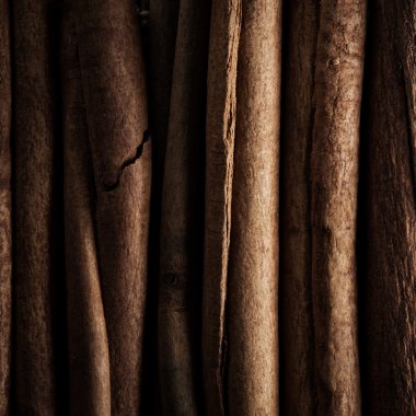 Tarçın closeup düşük anahtar görüntü makro