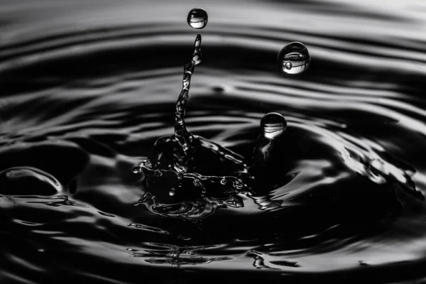 Water splash on black background. water drop — Stock Photo, Image