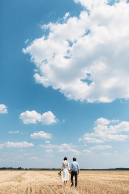 Çift buğday alanına yürüyor