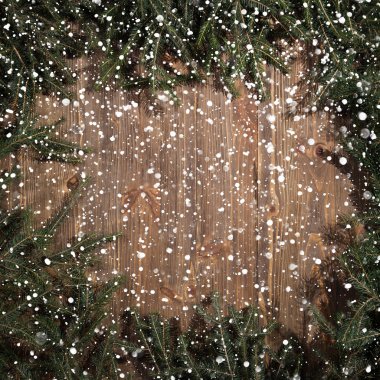 Çam ağacı eski ahşap arka plan/Noel yeşil çerçeve