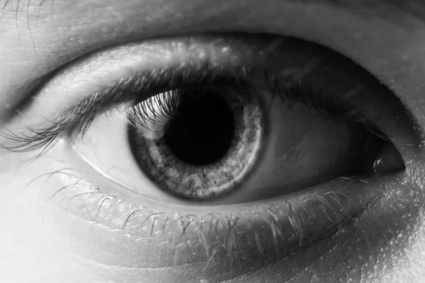 Man eye close-up — Stockfoto