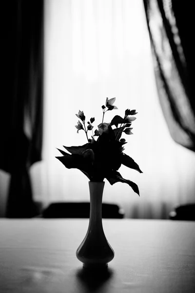 Fundo de flor abstrata preto e branco no interior — Fotografia de Stock