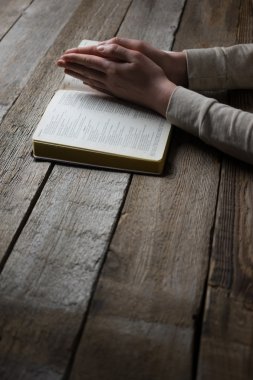 woman hands on bible. she is reading and praying over bible in a clipart