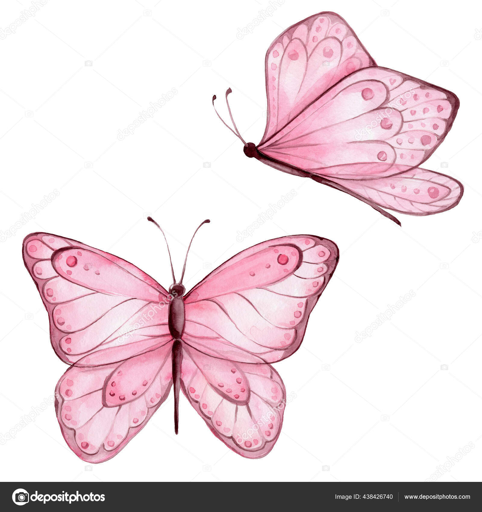 Pink Butterflies Watercolor Hand Draw Illustration White Isolated Background  Stock Photo by ©NinaNovikova 438426740