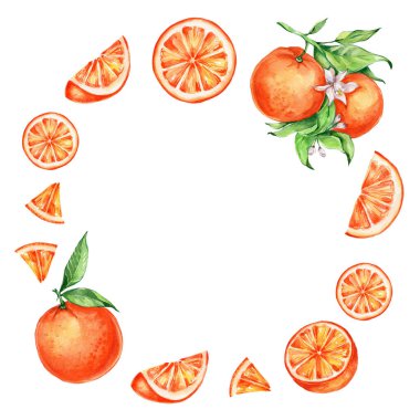 Portakal ve yeşil yapraklardan oluşan yuvarlak çerçeve; suluboya el çizimi illüstrasyon; mutfak posteri, davetiye veya kart için kullanılabilir; beyaz izole edilmiş arka plan