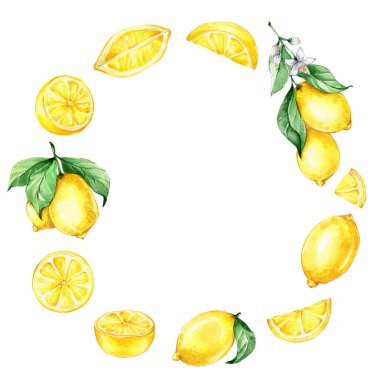 Sarı sulu limon yuvarlak çerçeve; suluboya el çizimi illüstrasyon; beyaz izole arka plan