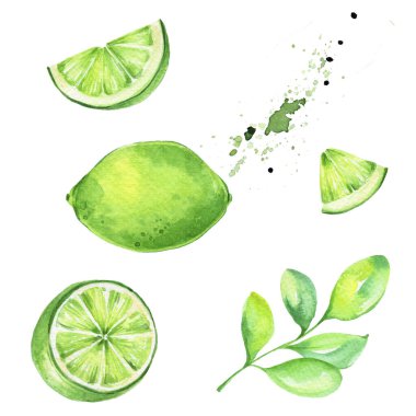 Yeşil limon, yapraklar ve sıçramalar; suluboya el çizimi illüstrasyon; mutfak posteri veya kartı için kullanılabilir; beyaz izole edilmiş arka plan