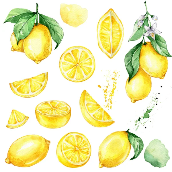 Conjunto Limones Jugosos Amarillos Ilustración Del Dibujo Mano Acuarela Puede — Foto de Stock