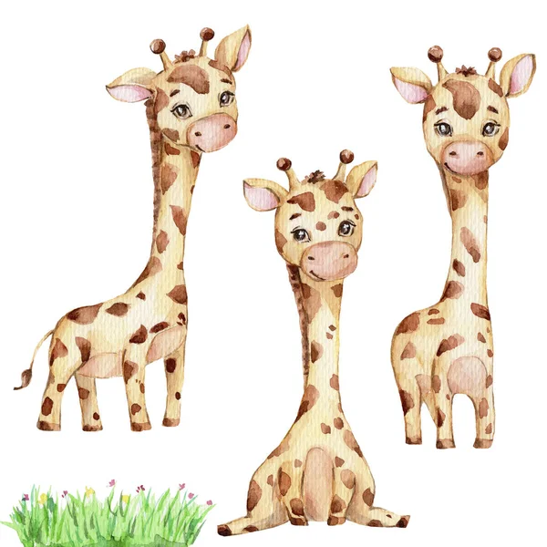 Tři Roztomilé Malé Žirafy Zelená Tráva Akvarel Ruční Kreslení Ilustrace — Stock fotografie