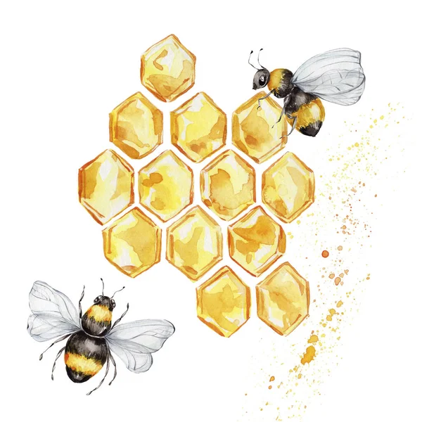 Two Bees Honeycombs Watercolor Hand Draw Illustration White Isolated Background — Stock Photo, Image