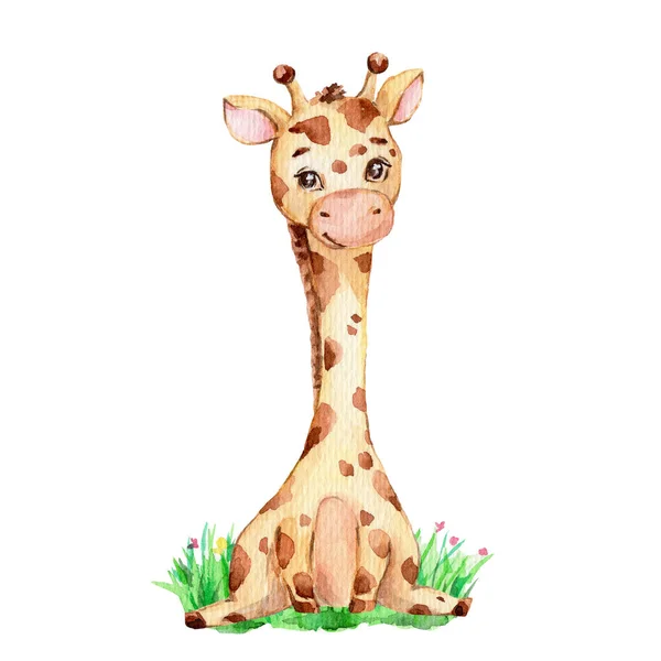 Girafa Pequena Bonito Sentado Grama Aquarela Desenho Ilustração Mão Pode — Fotografia de Stock