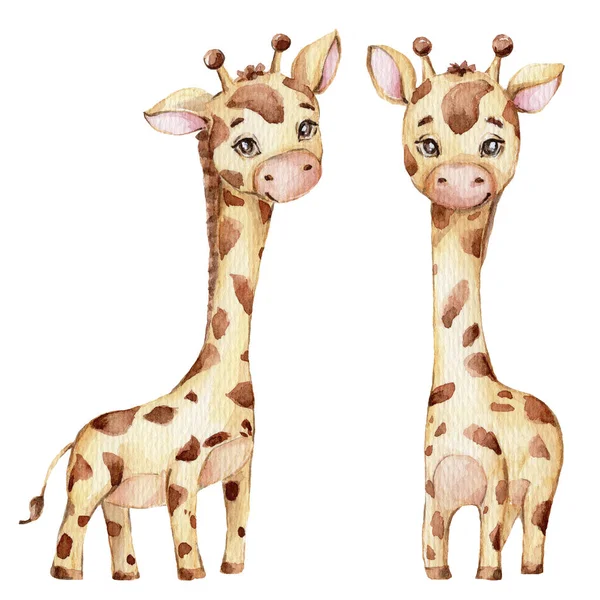 Duas Girafas Bonitinhas Ilustração Desenho Mão Aquarela Pode Ser Usado — Fotografia de Stock