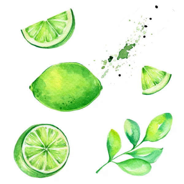 Set Green Limes Leaves Splashes Watercolor Hand Draw Illustration Can — Stock Photo, Image