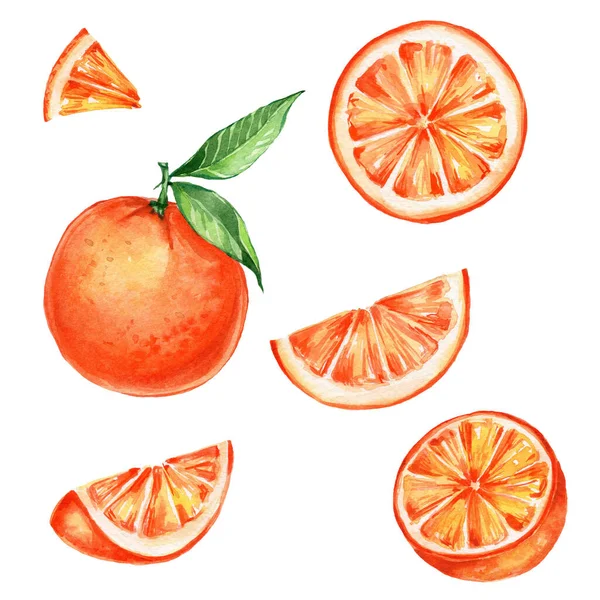Набор Апельсинов Рисунок Акварелью Использован Кухонного Плаката Открытки Белым Изолированным — стоковое фото