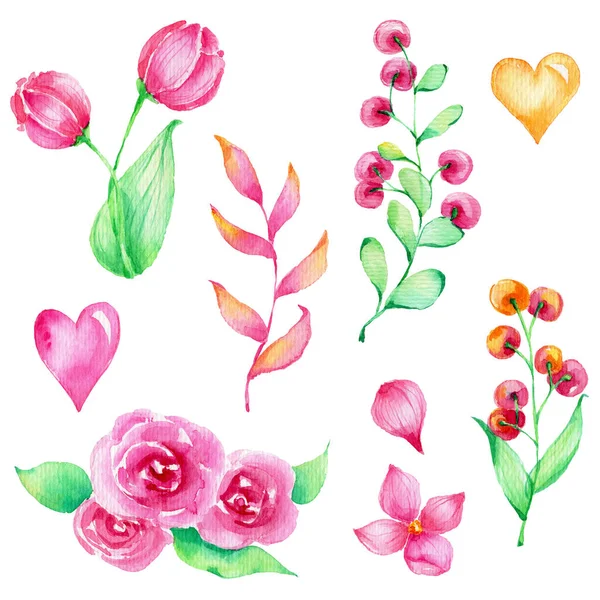 一套粉红色的花朵和浆果 粉色和黄色的心脏 水彩画插图 白色孤立的背景 — 图库照片