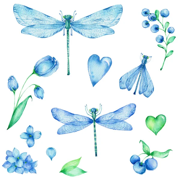 Velká Modrá Zelená Sada Květin Vážky Srdce Listy Akvarel Ruční — Stock fotografie