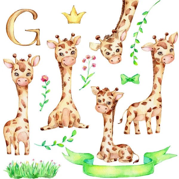 Set of five little giraffes and green ribbon, flowers, green bow, yellow crown and letter \