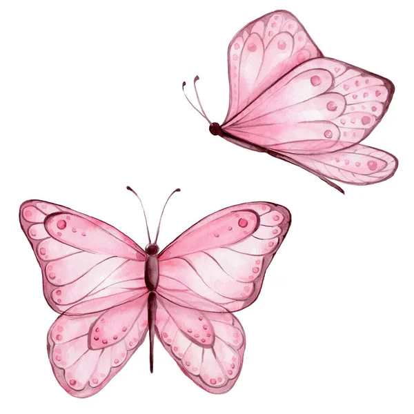 Růžoví Motýli Akvarel Ruční Kreslení Ilustrace Bílým Izolovaným Pozadím — Stock fotografie