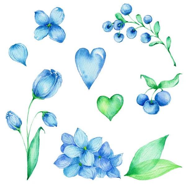 Set Blue Flowers Green Leaves Watercolor Hand Draw Illustration Can — Stock Photo, Image