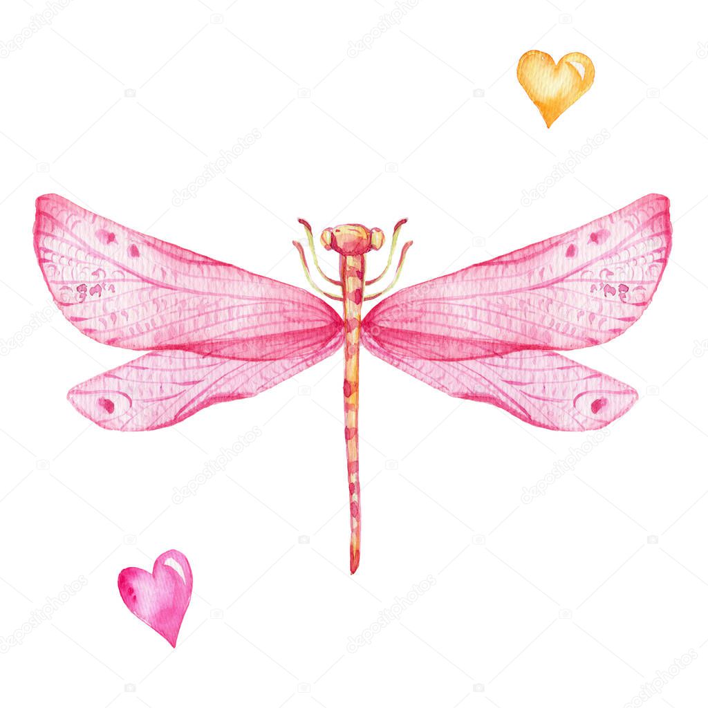 Pink dragonfly and pink and yellow hearts; watercolor hand draw illustration; with white isolated background