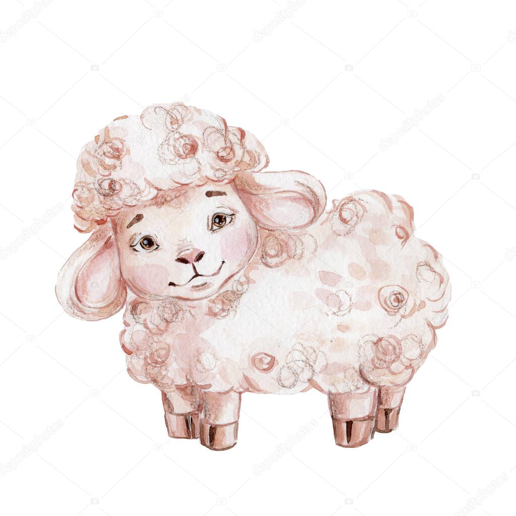 Cute cartoon sheep; watercolor hand draw illustration; with white isolated background