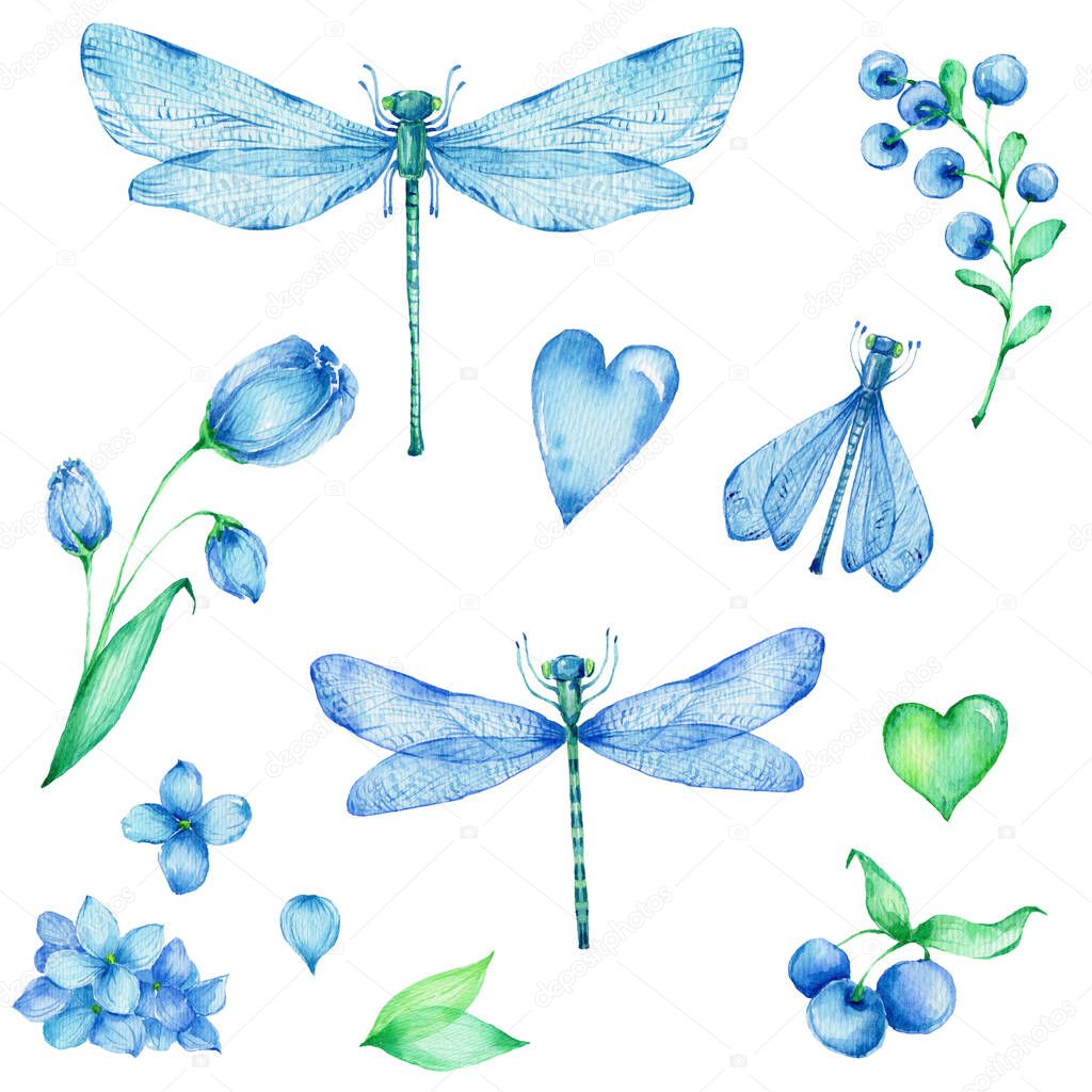 Big blue and green set of flowers, dragonflies, hearts and leaves; watercolor hand draw illustration; can be used for cards and invitations; with white isolated background