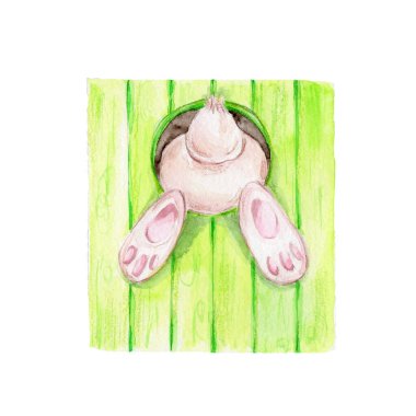 Çitteki bir deliğe sıkışmış tavşan; suluboya el çizimi illüstrasyon; paskalya kartı için kullanılabilir; beyaz izole arkaplan