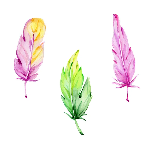 Purple Green Feathers Watercolor Hand Draw Illustration White Isolated Background — Stock Photo, Image