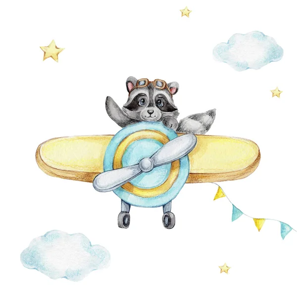 Cute cartoon raccoon flying on an airplane; watercolor and colored pencils illustration; with white isolated background