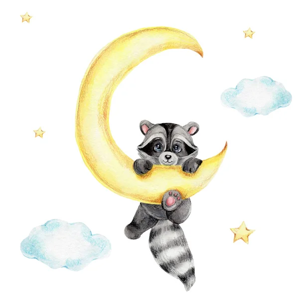 Cute Cartoon Raccoon Yellow Moon Watercolor Colored Pencils Illustration White — Stock Photo, Image