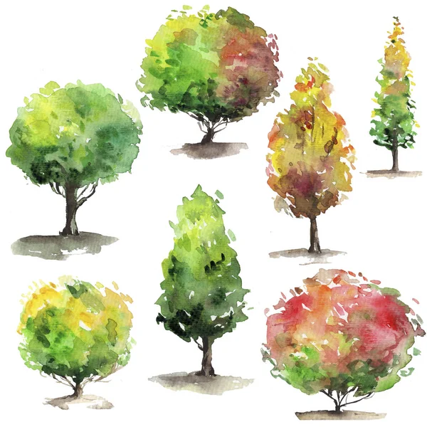 Drzewa Akwarelowe Różnym Kolorze — Zdjęcie stockowe
