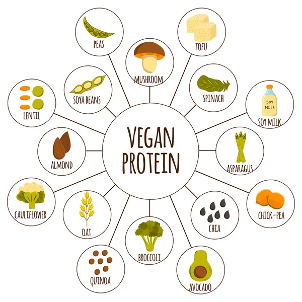 Iconos de proteínas veganas — Archivo Imágenes Vectoriales